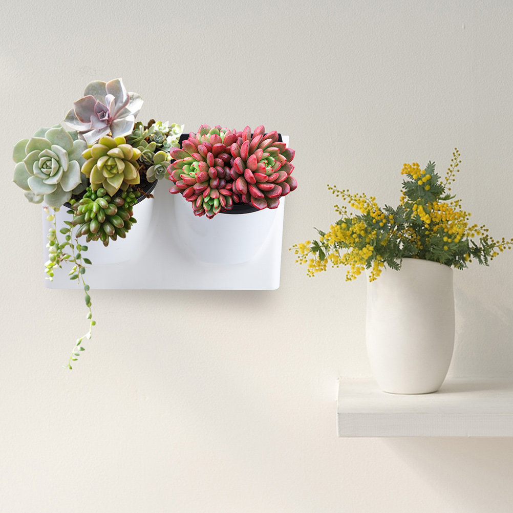 Self-Watering Planter - Zelfwaterende bloempot van plastic, paarse plantenbak,