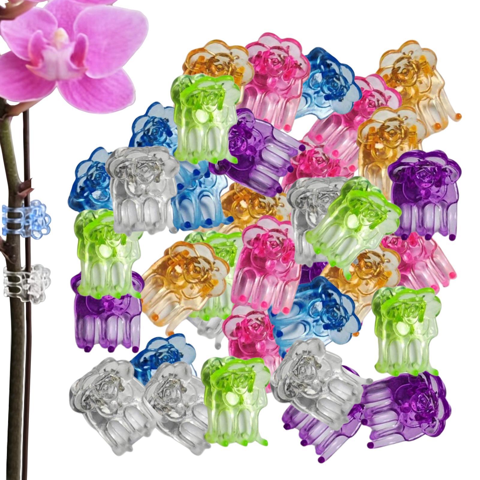 Orchid Potting Mix - Orchidee Clips 60 Stuks Vlinder Bloem