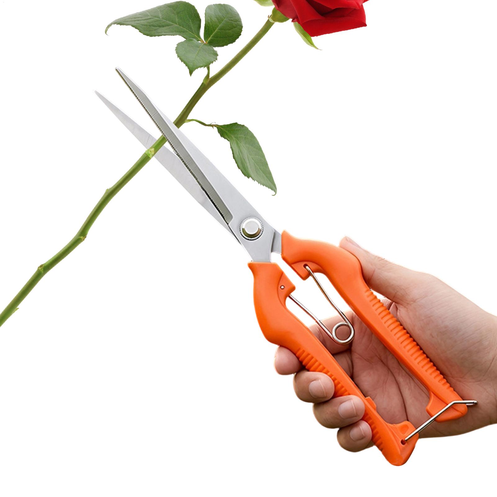 Gardening Tools For Beginners - Snoeischaar Druivenschaar Tuingereedschap Moestuin Bonsai Professioneel