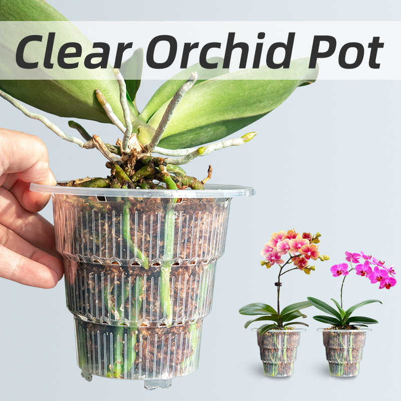Orchid Potting Mix - Meshpot Doorzichtige plastic orchideeënpotten met gaten