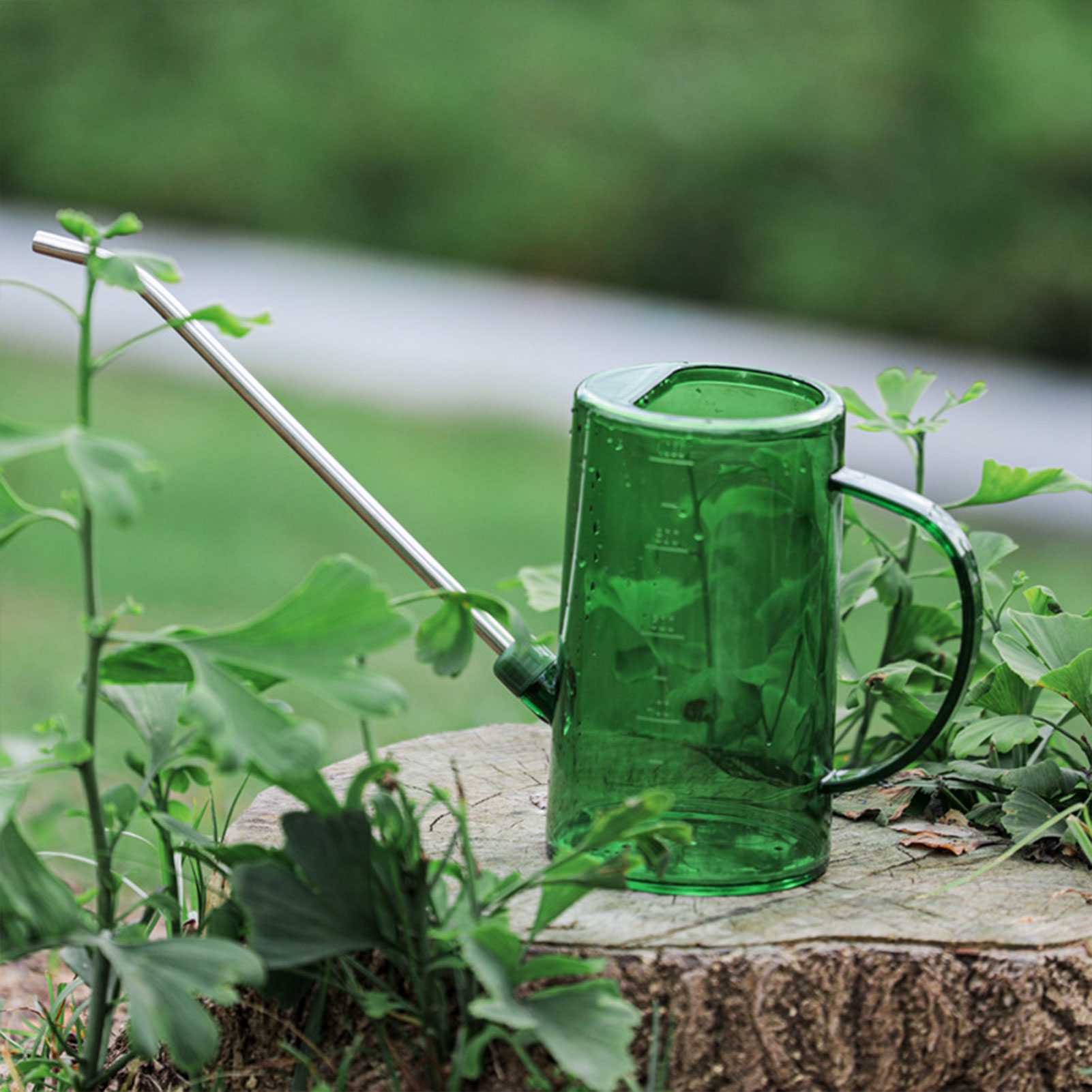 Gardening Tools For Beginners - 1L/1.5L Binnenplanten Gieter Transparant Afneembaar Roestvrij