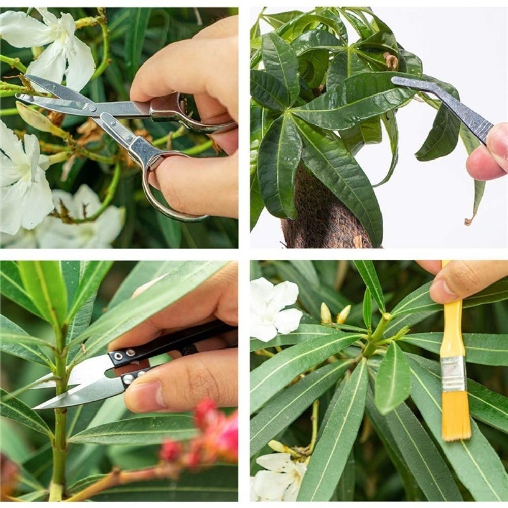 Spade Digging Fork - Multifunctionele mini-tuinplantset met houten handvat, grondschoppen,