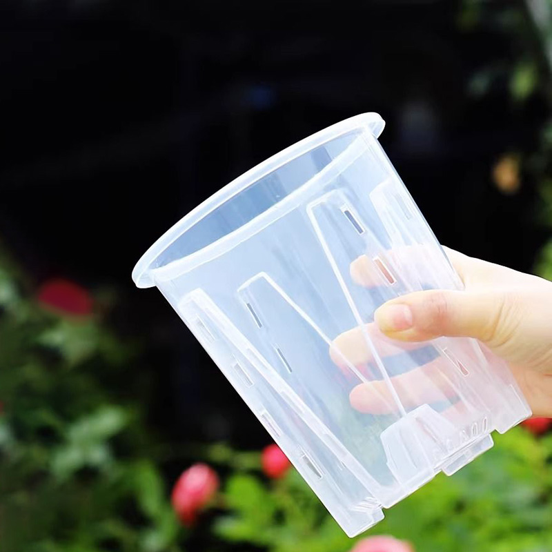 Orchid Potting Mix - 12Cm Voor Orchidee Plant Kweekpot Transparante