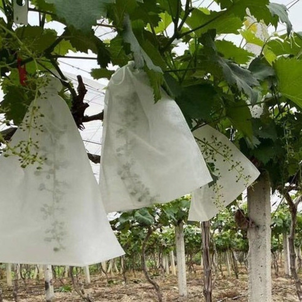 Grow Bags - 100 Stuks Niet-geweven Fruitbeschermingszakken Anti-vogel Ademende