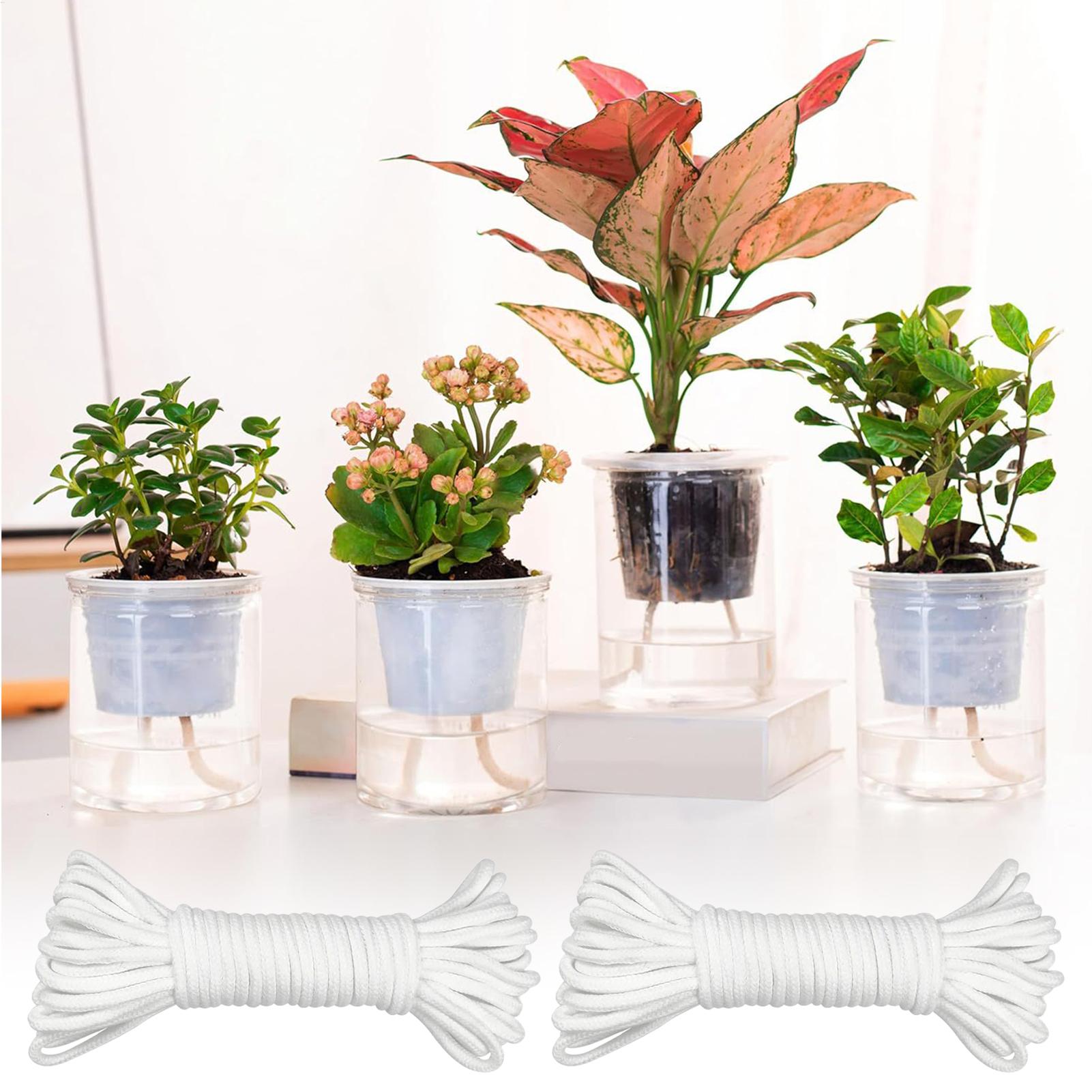 Plantenwikken voor zelfwaterge - Self-Watering Planter recensie en prijs