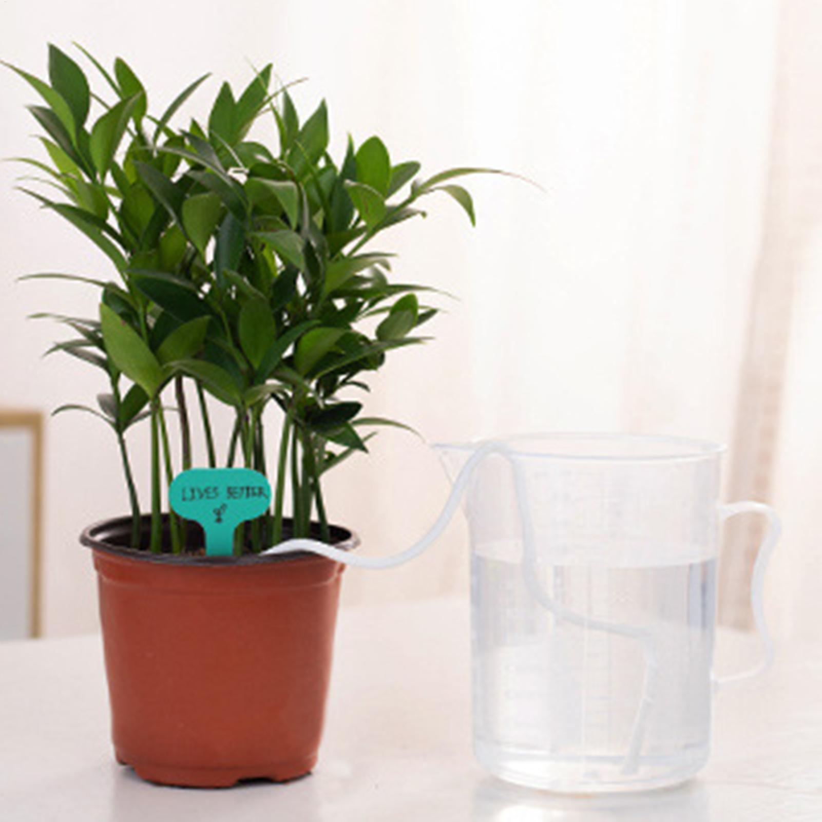 Plantenwikken voor zelfwaterge - Self-Watering Planter recensie en prijs