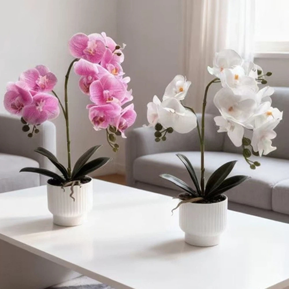 Multi-Bloom Gesimuleerde Vlind - Orchid Potting Mix recensie en prijs