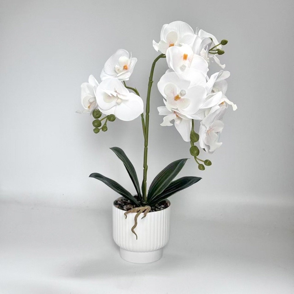 Multi-Bloom Gesimuleerde Vlind - Orchid Potting Mix recensie en prijs