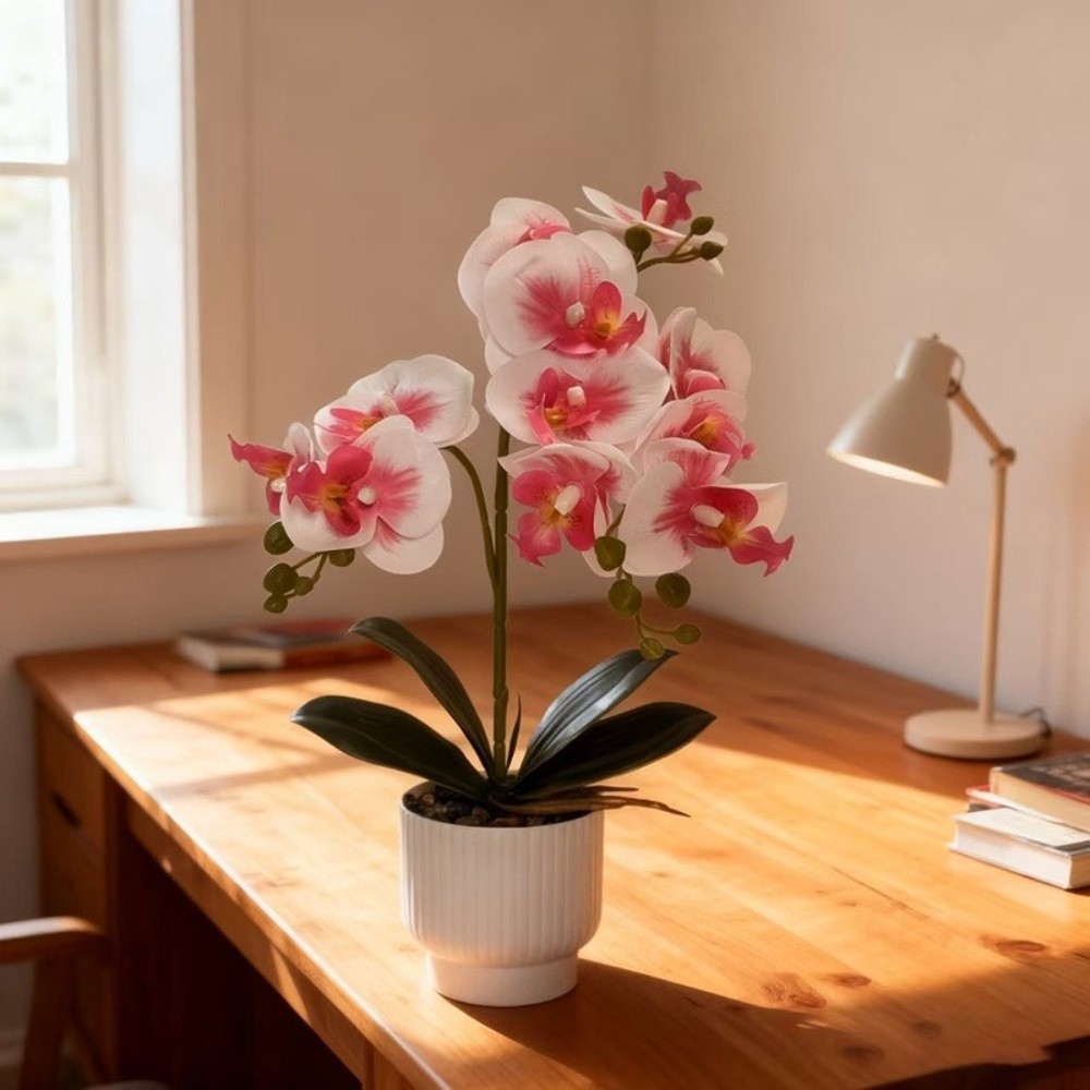 Multi-Bloom Gesimuleerde Vlind - Orchid Potting Mix recensie en prijs