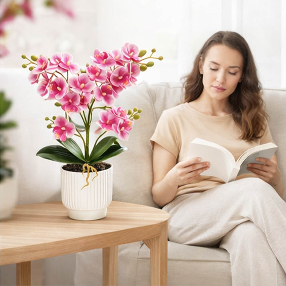 Kunstmatige orchideeën, nep Ph - Orchid Potting Mix recensie en prijs