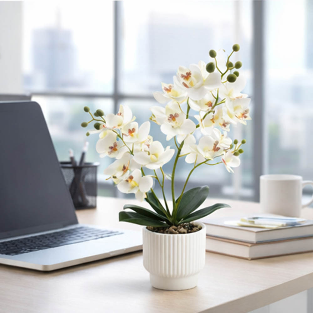 Kunstmatige orchideeën, nep Ph - Orchid Potting Mix recensie en prijs