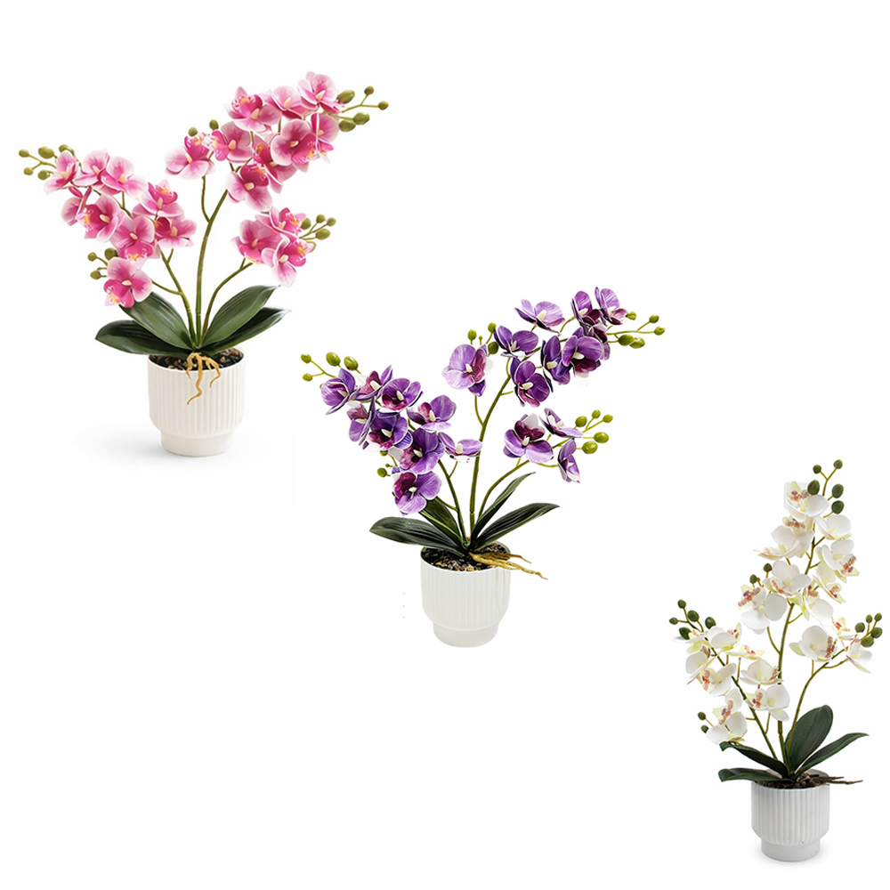 Kunstmatige orchideeën, nep Ph - Orchid Potting Mix recensie en prijs