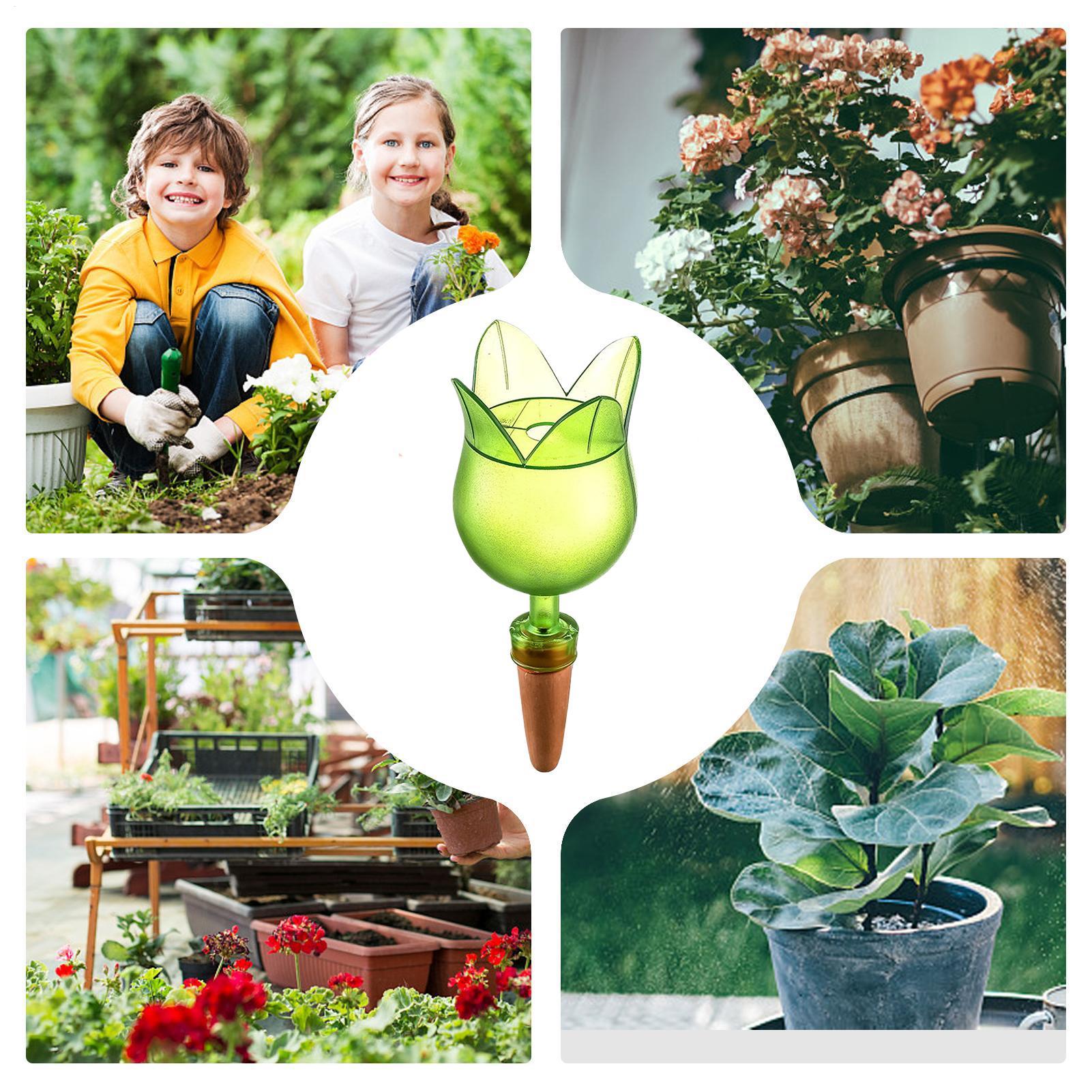 Zelfbewateringsapparaten voor  - Self-Watering Planter recensie en prijs