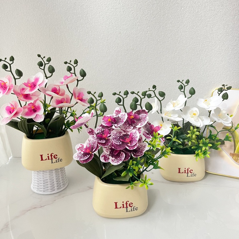 Elegante Scandinavische stijl  - Orchid Potting Mix recensie en prijs