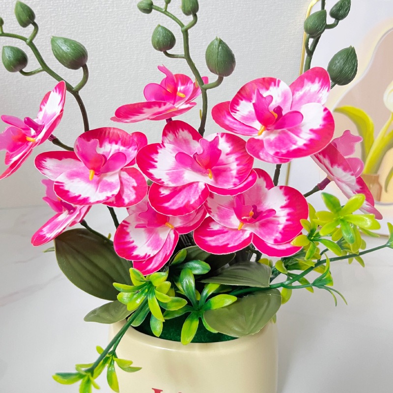 Elegante Scandinavische stijl  - Orchid Potting Mix recensie en prijs