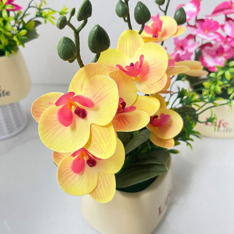 Elegante Scandinavische stijl  - Orchid Potting Mix recensie en prijs