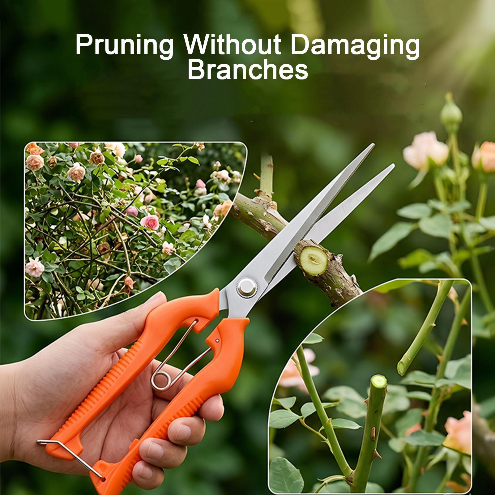 Snoeischaar Druivenschaar Tuin - Gardening Tools For Beginners recensie en prijs