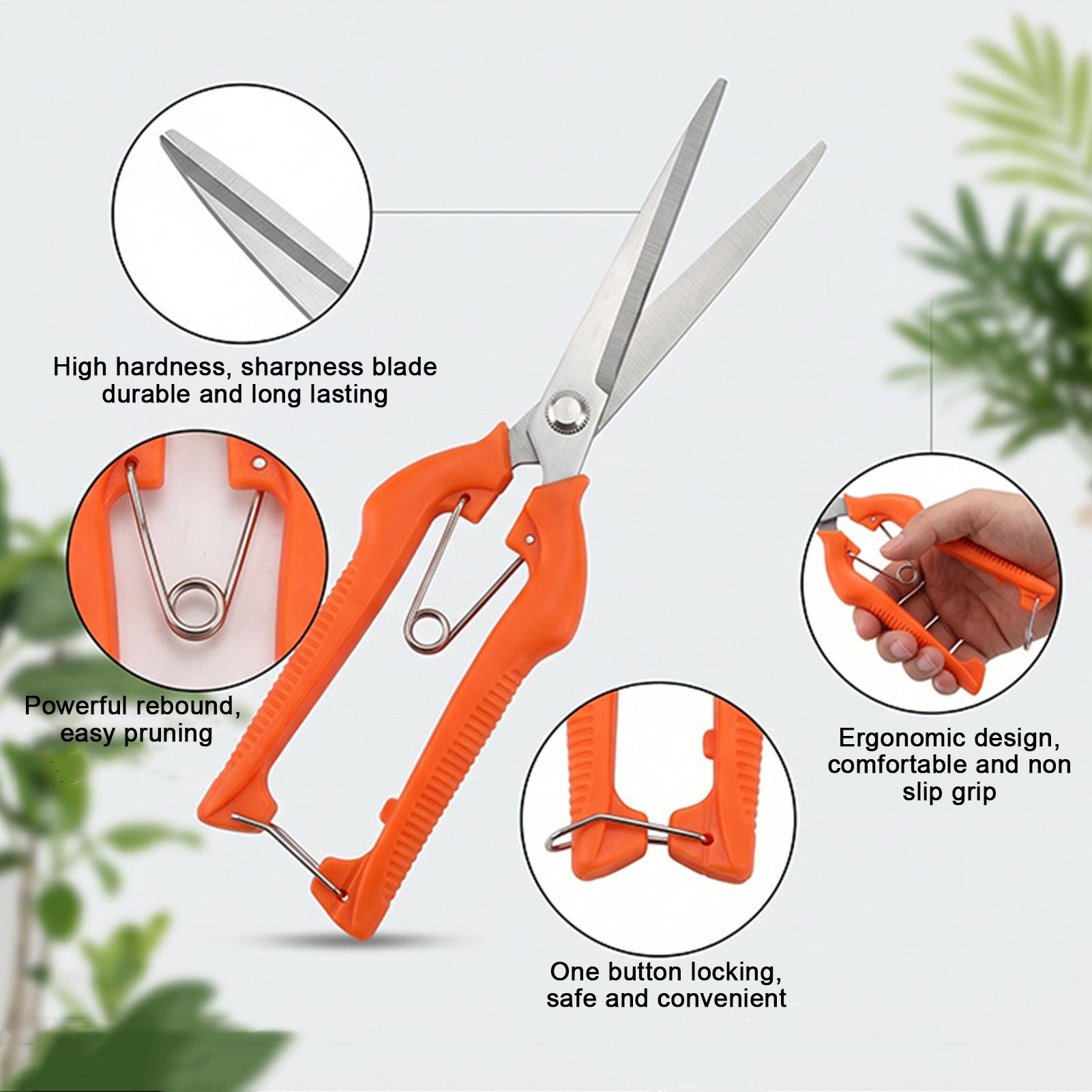 Snoeischaar Druivenschaar Tuin - Gardening Tools For Beginners recensie en prijs
