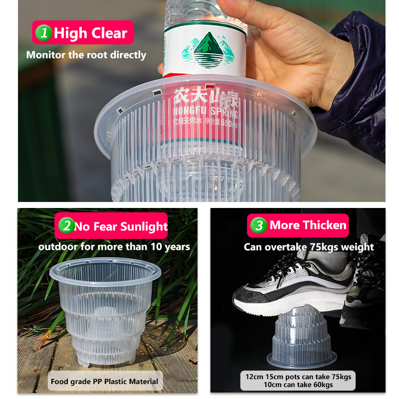 Meshpot Doorzichtige plastic o - Orchid Potting Mix recensie en prijs