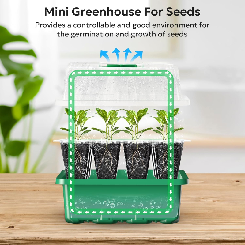 10 STKS Zaailing Trays Zaad St - Propagation Tray Dome recensie en prijs
