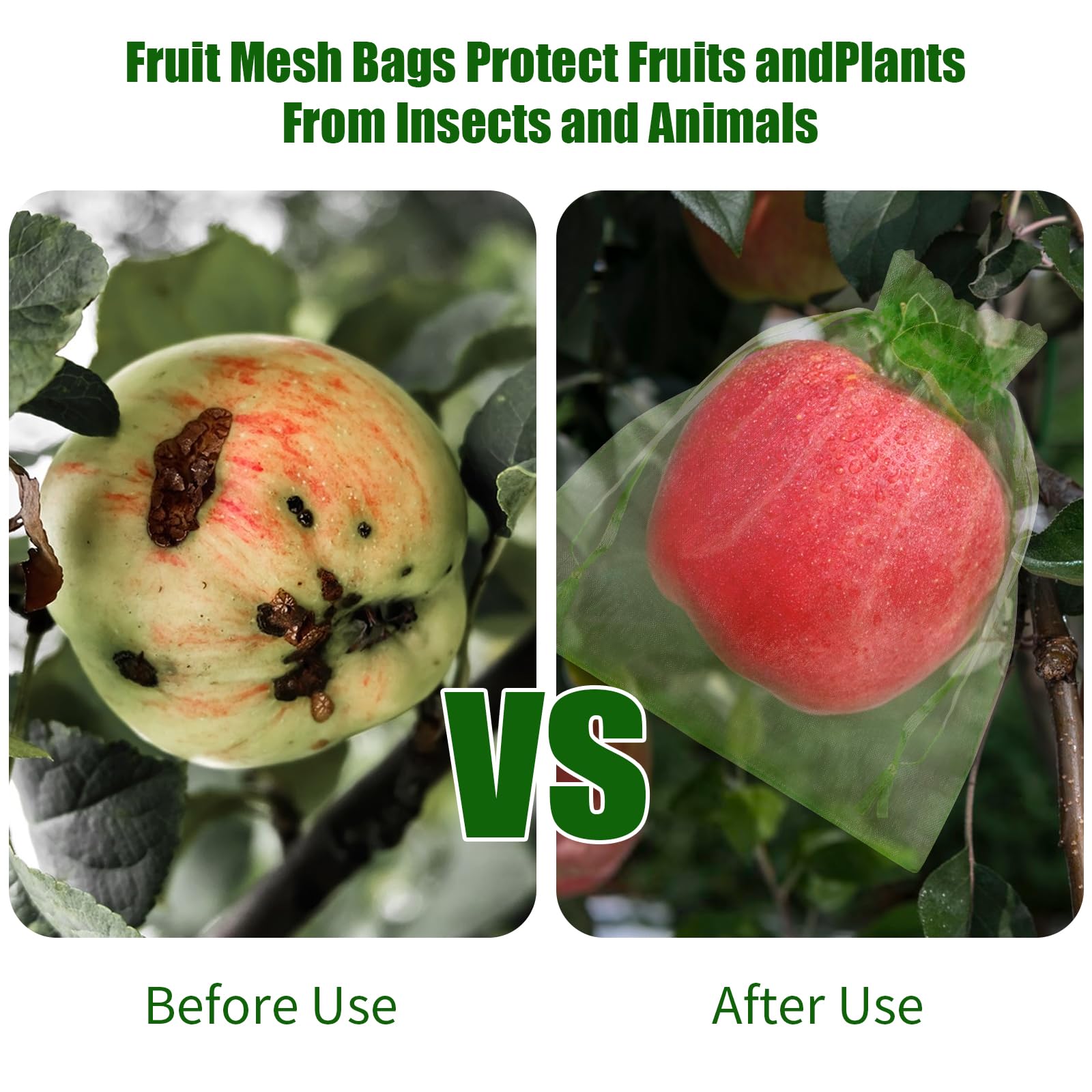 2026 Nieuwe Fruitbeschermingsn - Grow Bags recensie en prijs