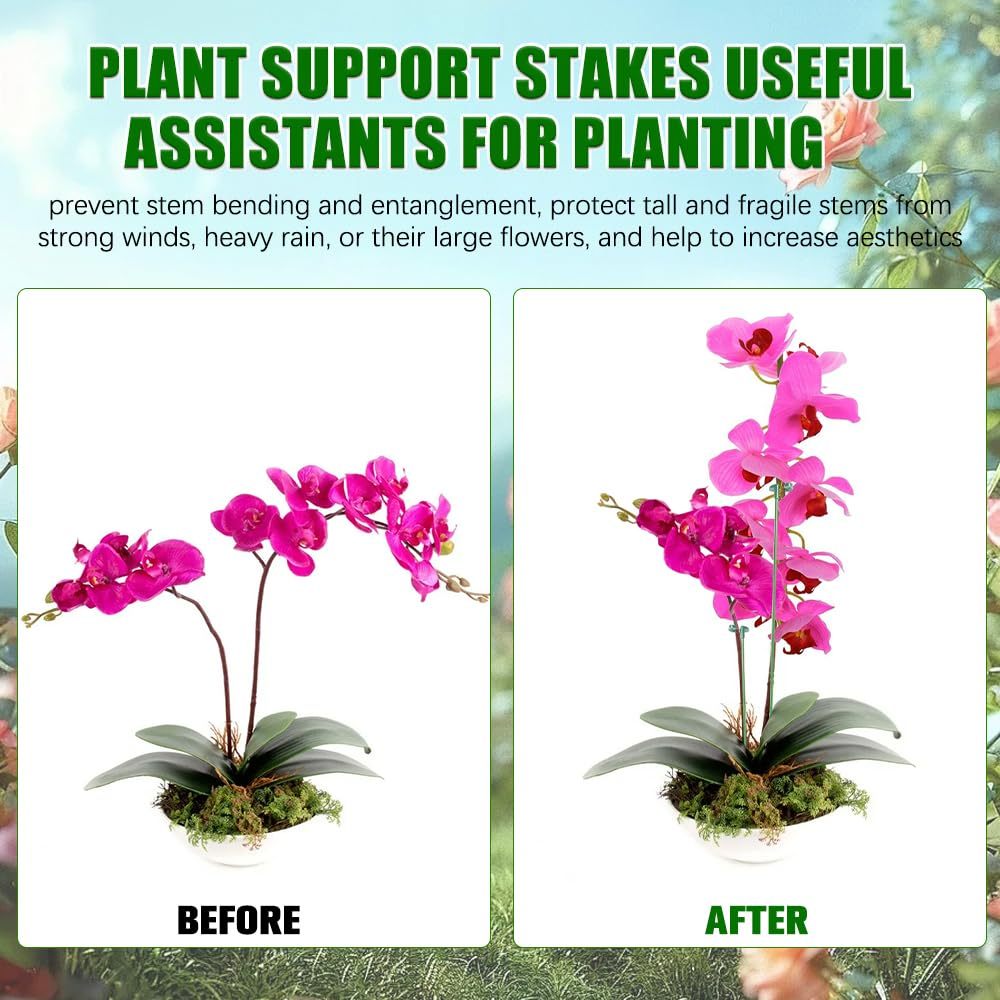 5/10PCS Plant Ondersteunt Stan - Orchid Potting Mix recensie en prijs
