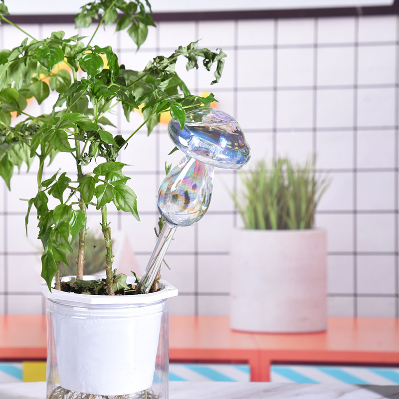 1/2 Stuks Glazen Stro Automati - Gardening Tools For Beginners recensie en prijs
