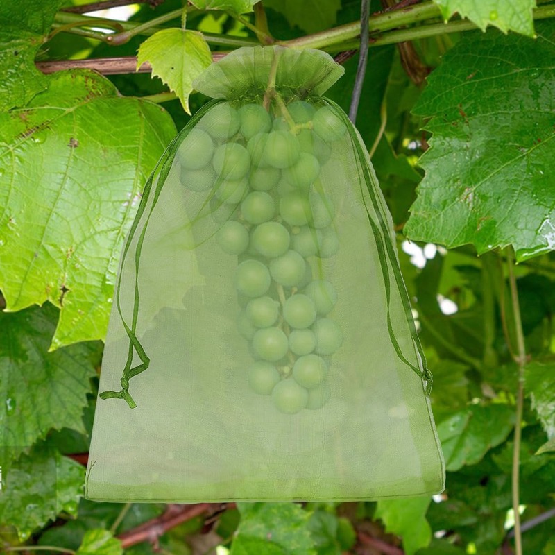 Groothandel Fruitbeschermingsz - Gardening Tools Store recensie en prijs