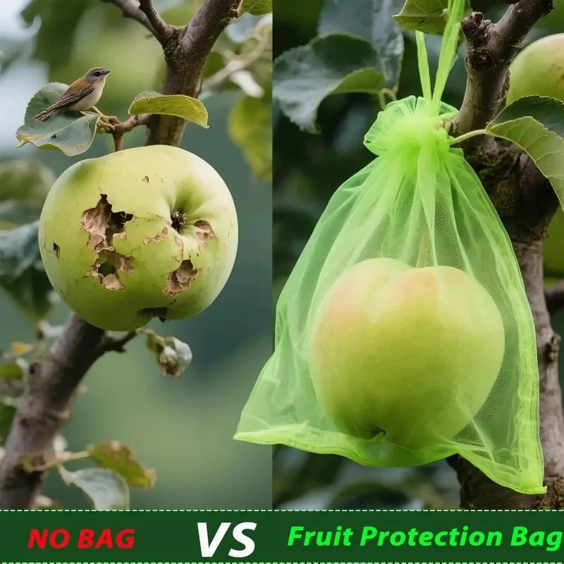 Groothandel Fruitbeschermingsz - Gardening Tools Store recensie en prijs