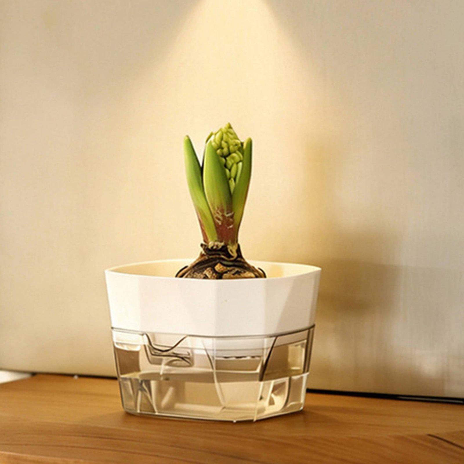Hydroponische vaas met twee la - Self-Watering Planter recensie en prijs