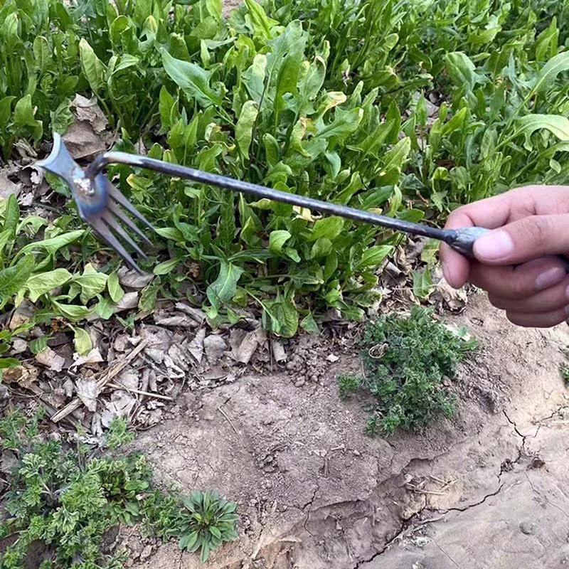 Tuinonkruidverwijderaar, hando - Gardening Tools To Remove Grass recensie en prijs