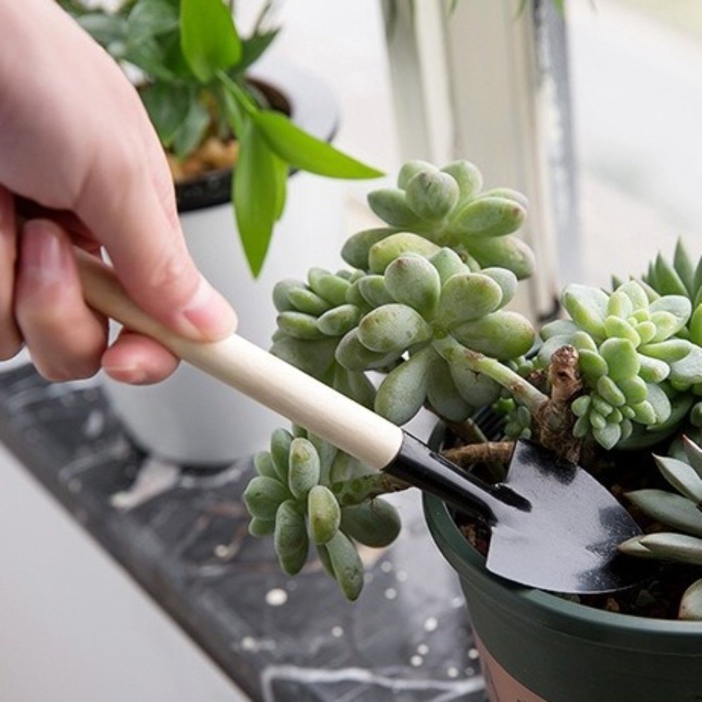 Multifunctionele mini-tuinplan - Spade Digging Fork recensie en prijs