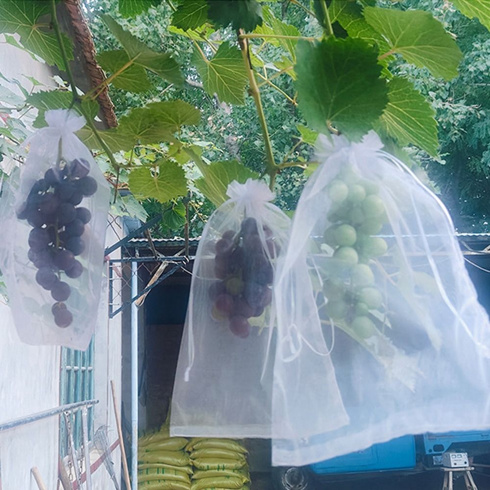 100 Stuks Mesh Druiven Fruit G - Grow Bags recensie en prijs