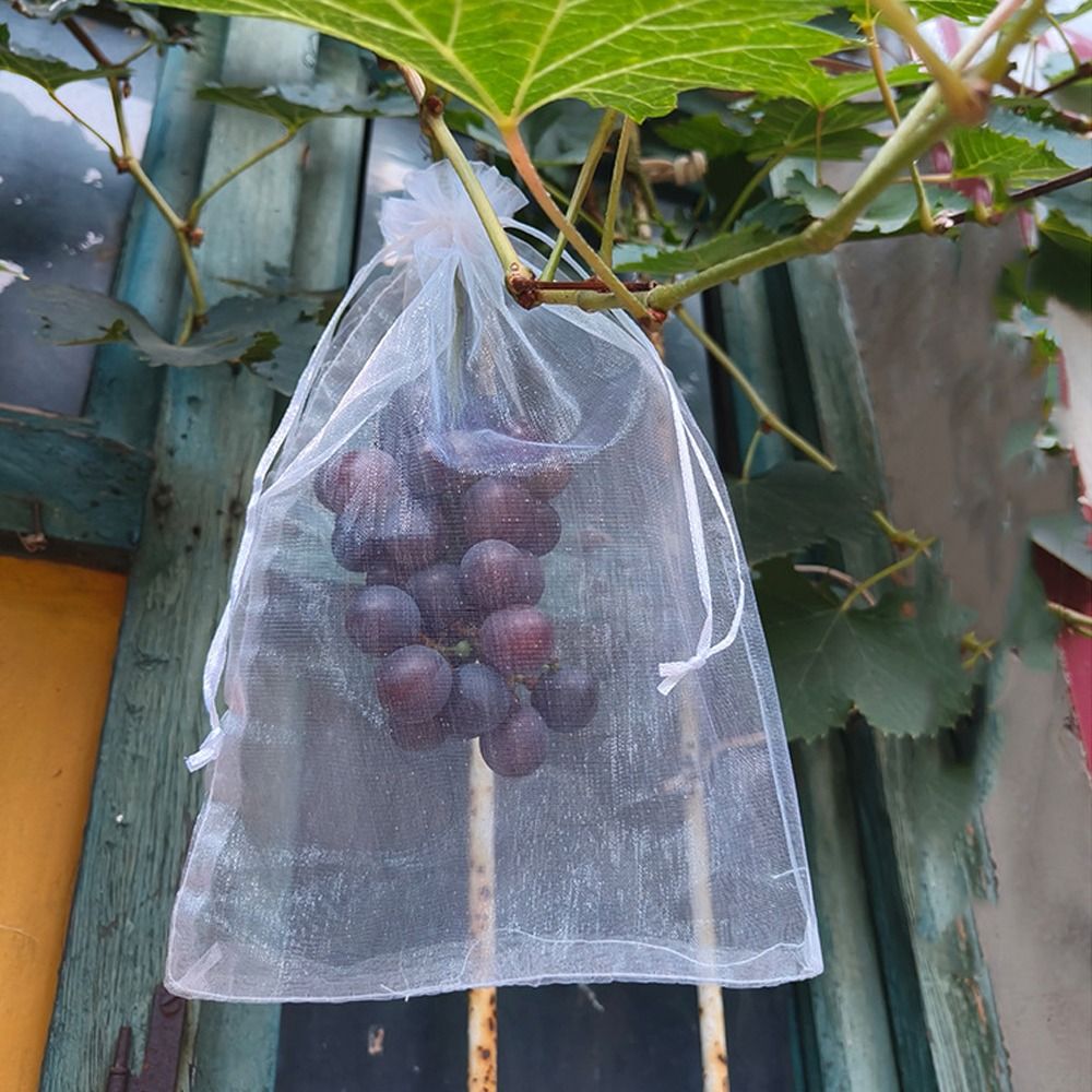 100 Stuks Mesh Druiven Fruit G - Grow Bags recensie en prijs