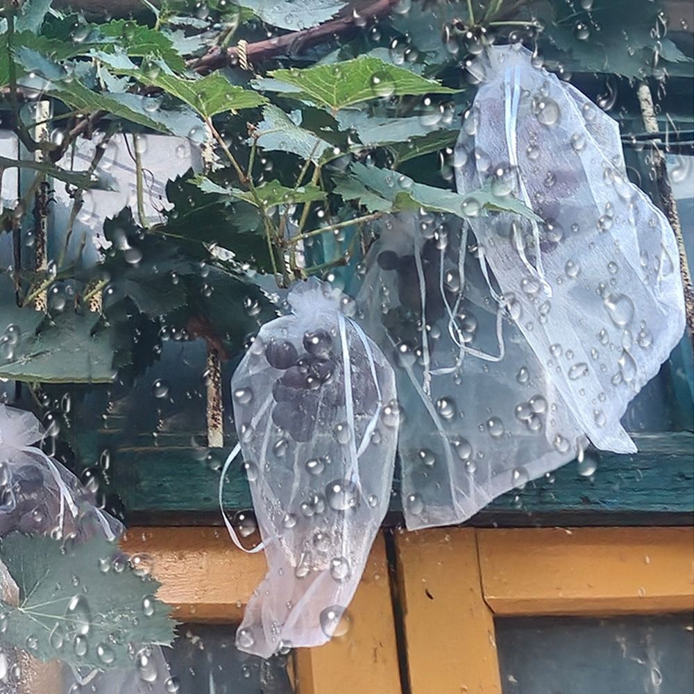 100 Stuks Mesh Druiven Fruit G - Grow Bags recensie en prijs
