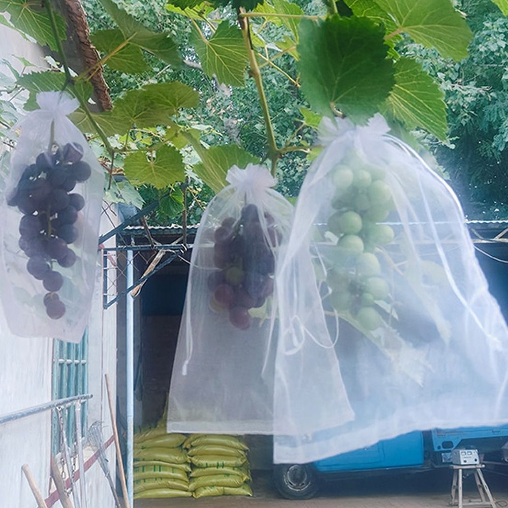 100 Stuks Mesh Druiven Fruit G - Grow Bags recensie en prijs