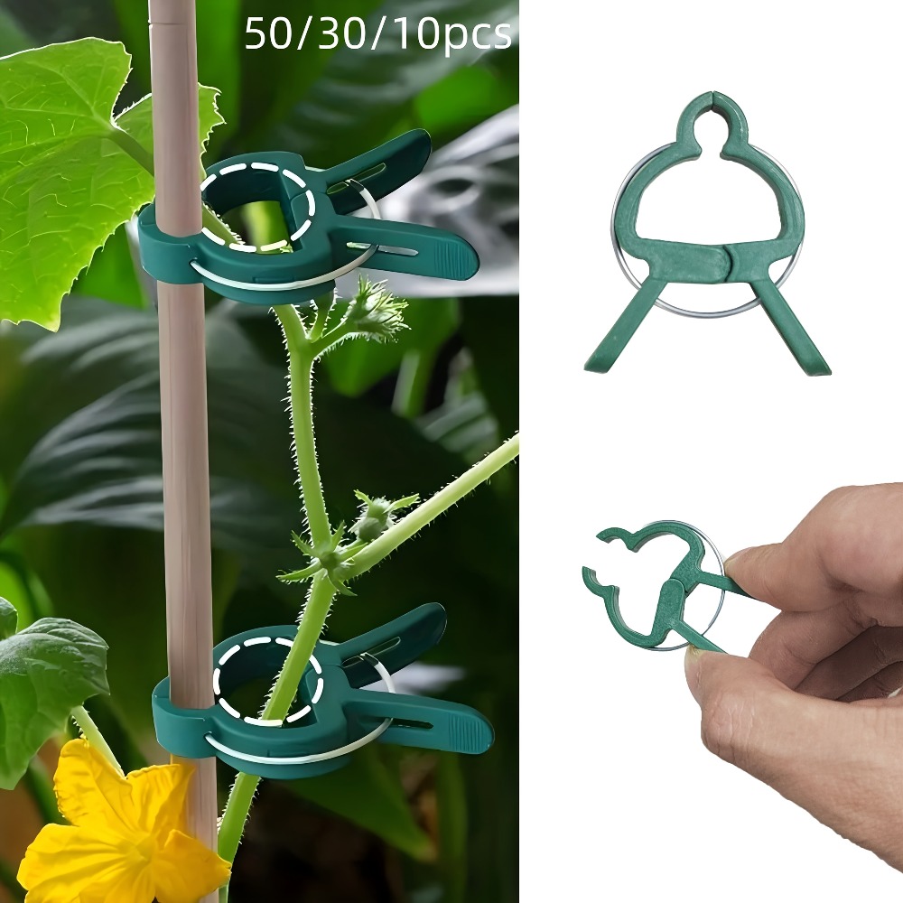 10/30/50 stuks verstelbare pla - Gardening Tools Essential recensie en prijs