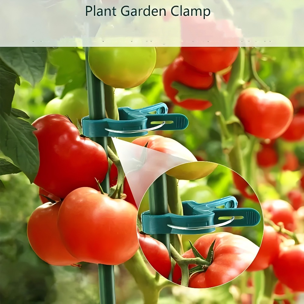 10/30/50 stuks verstelbare pla - Gardening Tools Essential recensie en prijs