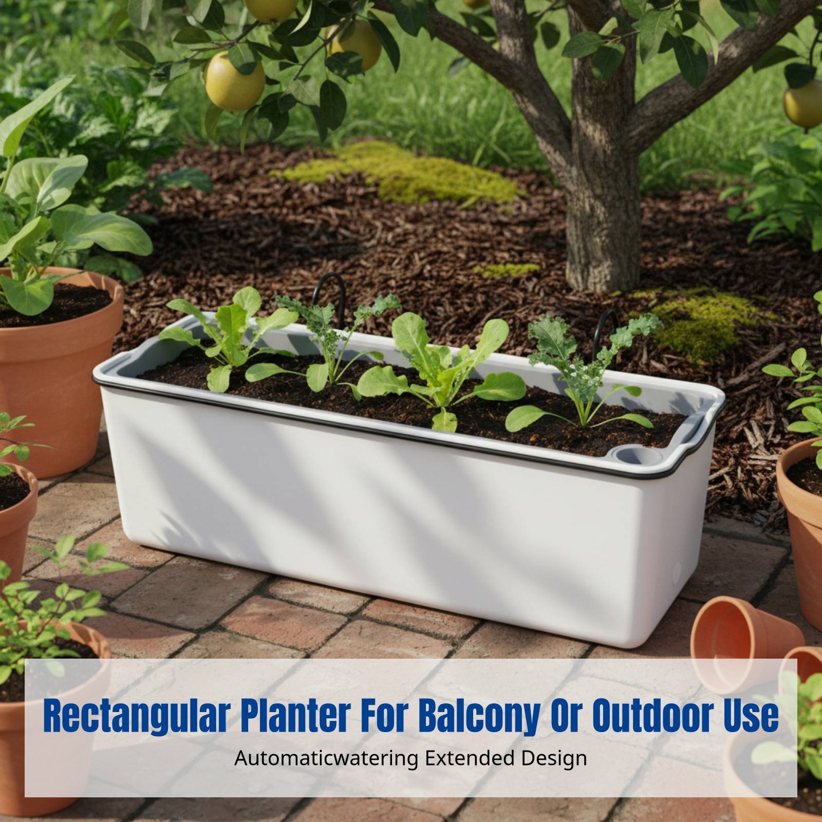 Balkonhangende bloempot rechth - Self-Watering Planter recensie en prijs