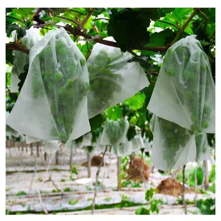 50 stuks tuinfruitbeschermings - Grow Bags recensie en prijs