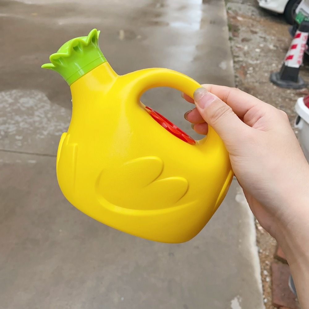 Draagbare plastic gieter, wate - Gardening Tools Watering Can recensie en prijs
