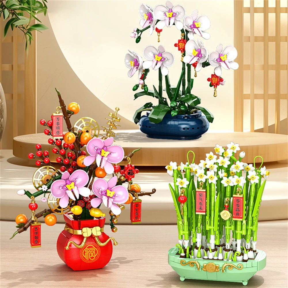 Eeuwige Bonsai Steentjes Pruim - Orchid Potting Mix recensie en prijs