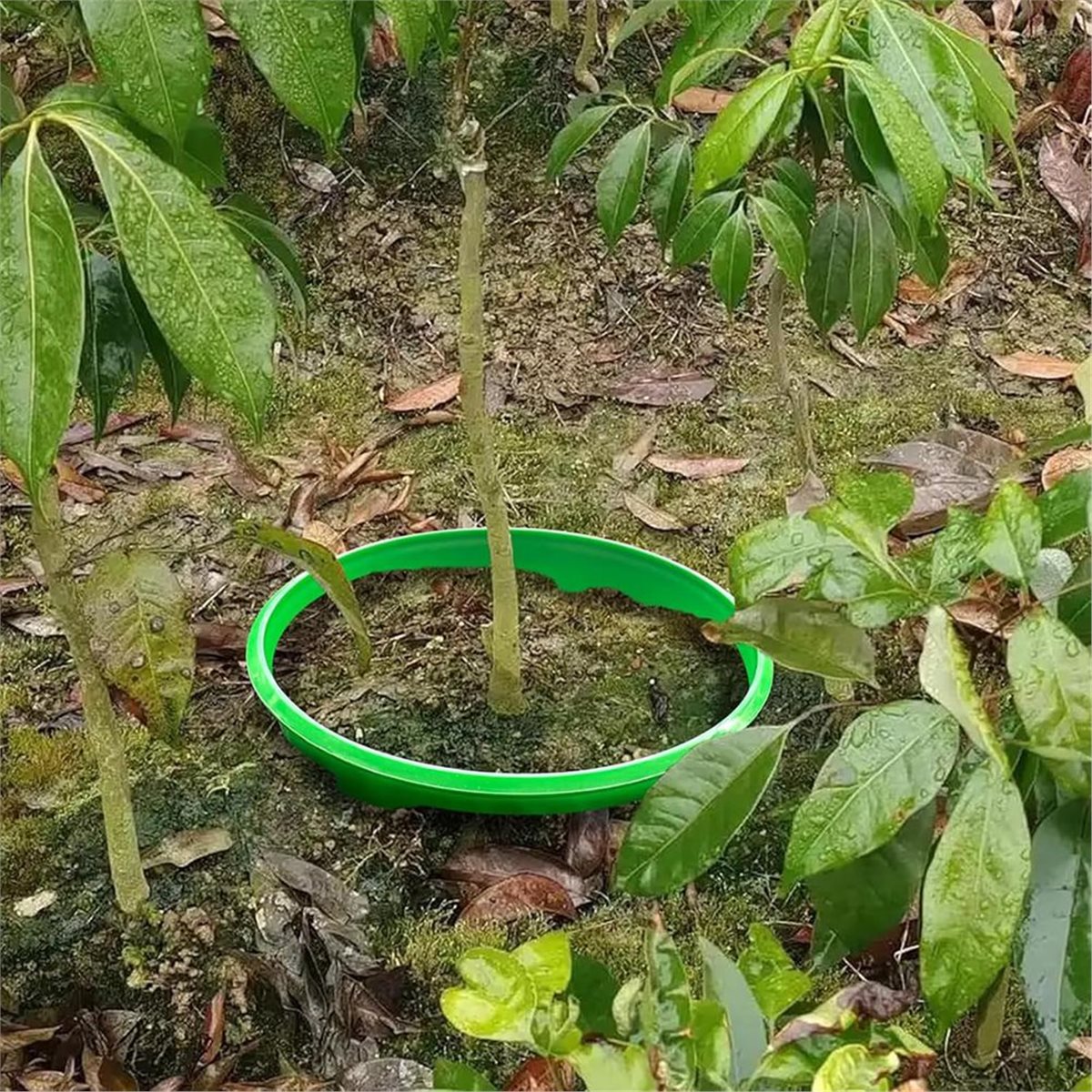 Grote korting: 4 plantenbesche - Gardening Tools Big recensie en prijs