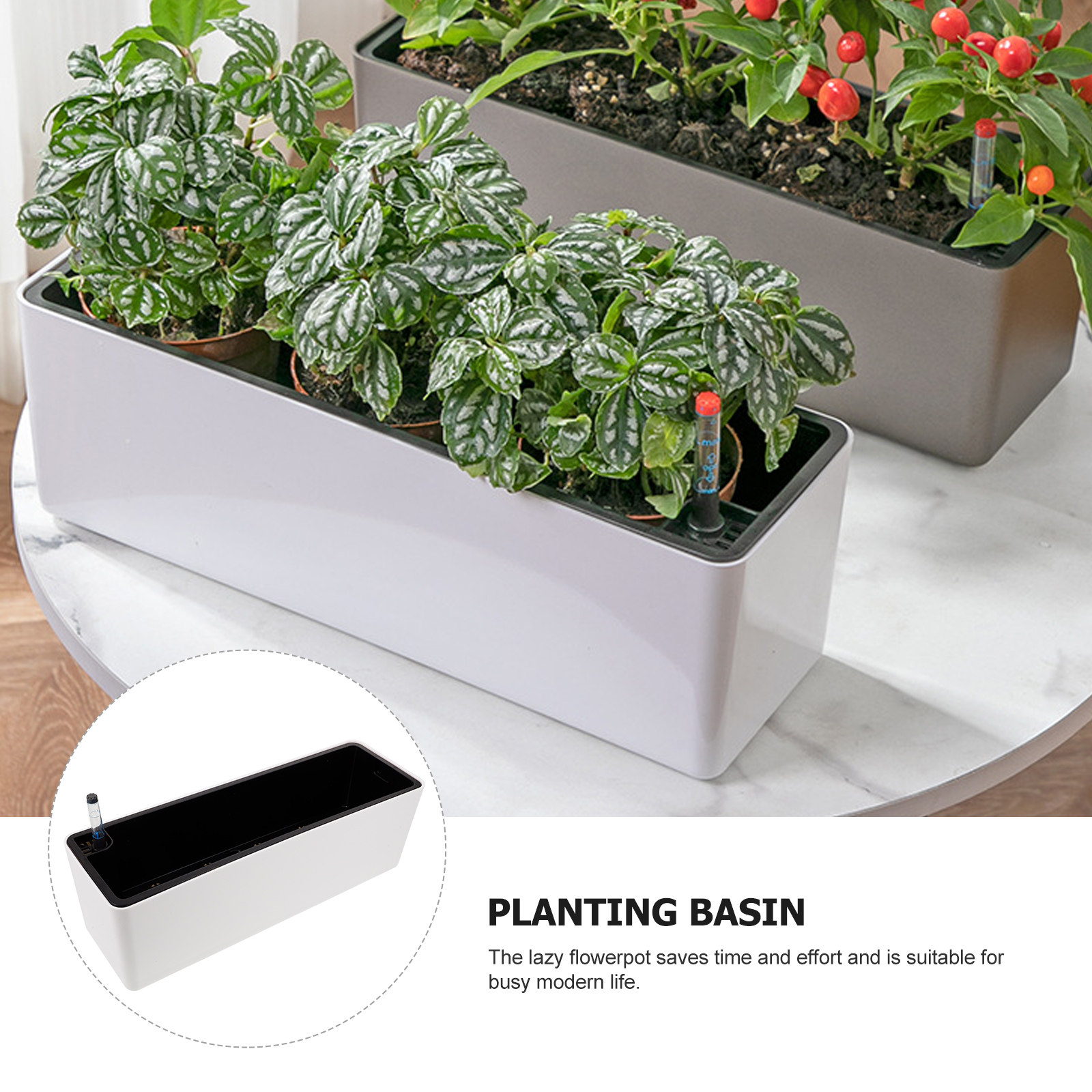 1Set Dikke Smalle Rand Plastic - Self-Watering Planter recensie en prijs