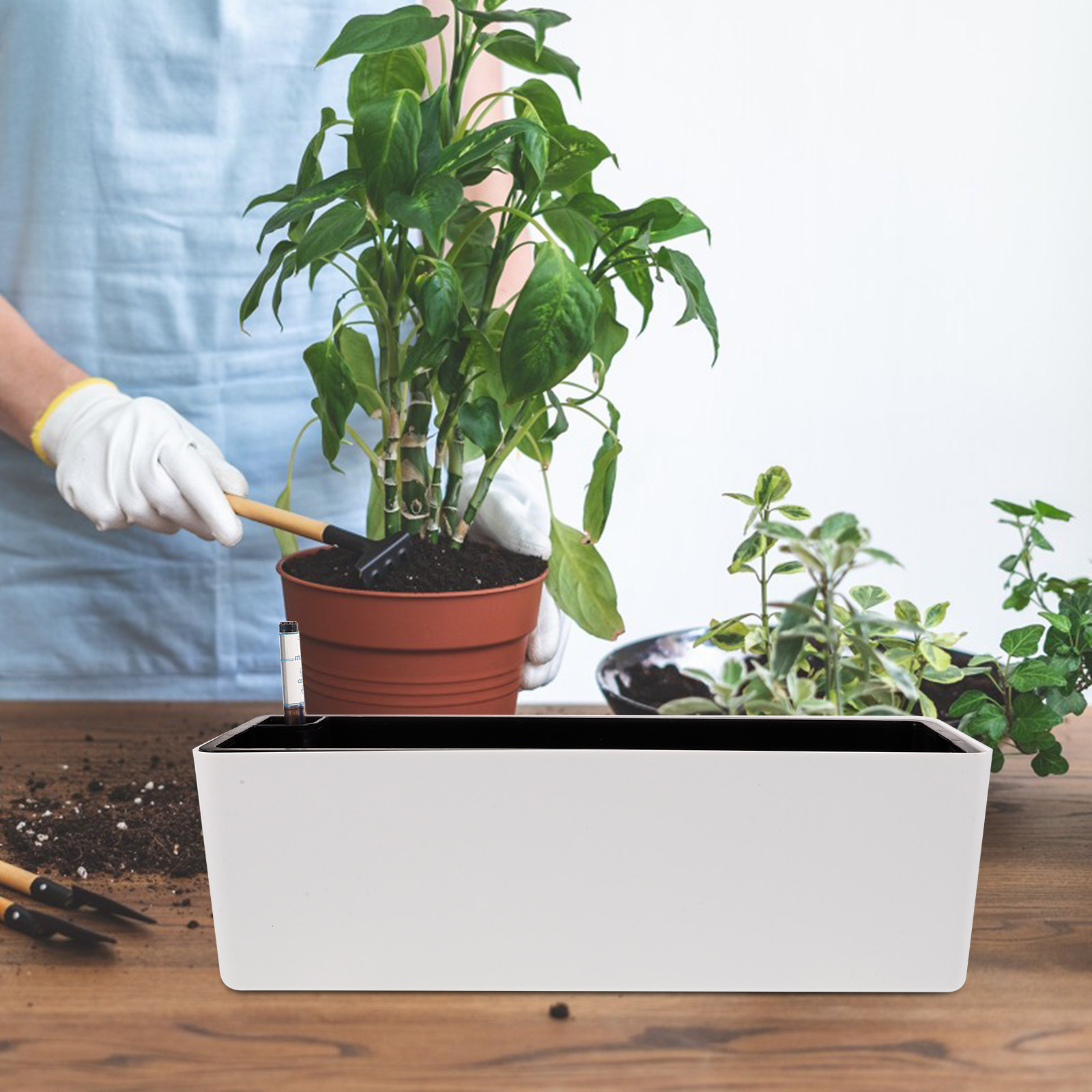 1Set Dikke Smalle Rand Plastic - Self-Watering Planter recensie en prijs