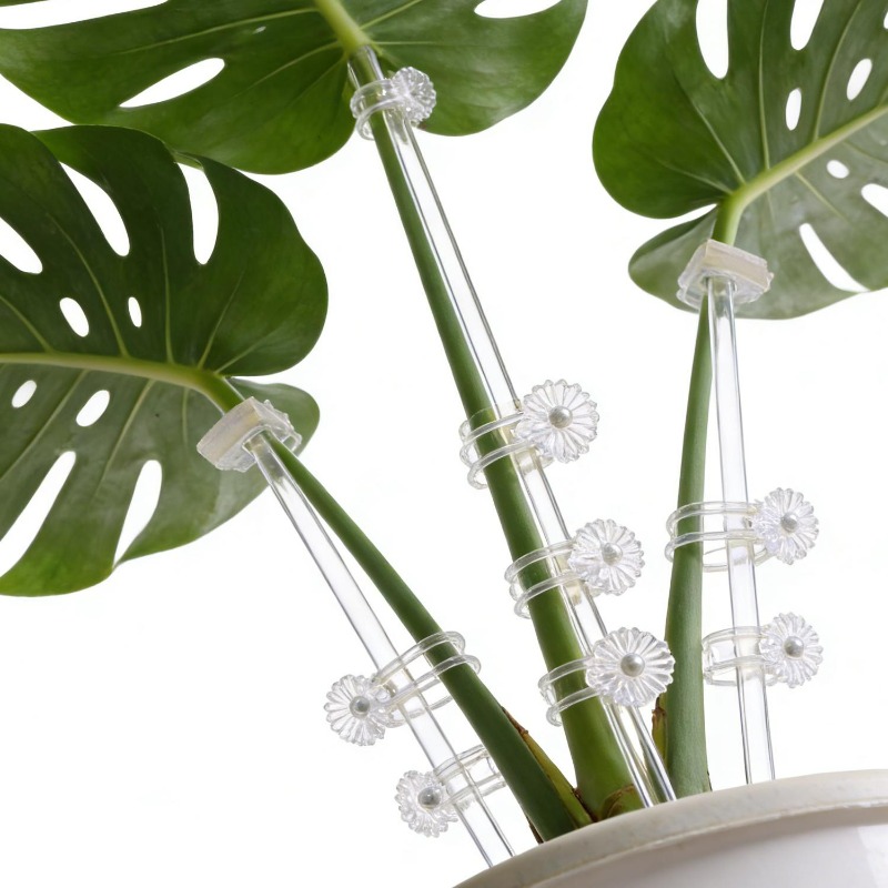 Herbruikbare transparante bloe - Orchid Potting Mix recensie en prijs