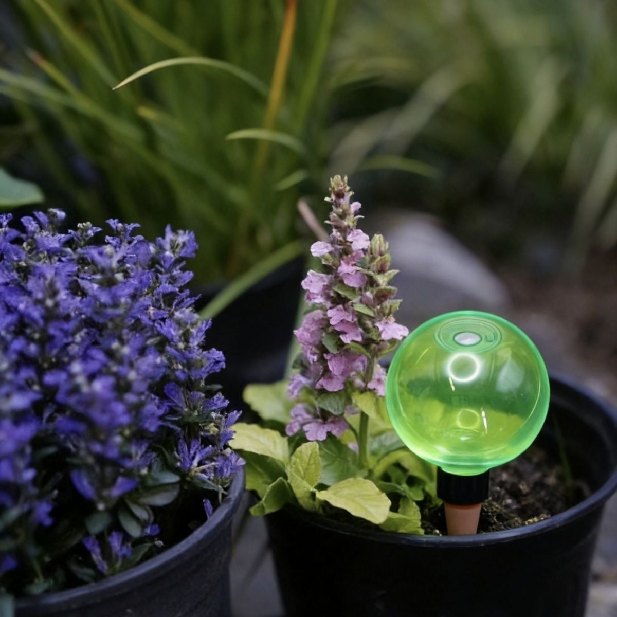3 stuks grote planten zelfwate - Self-Watering Planter recensie en prijs