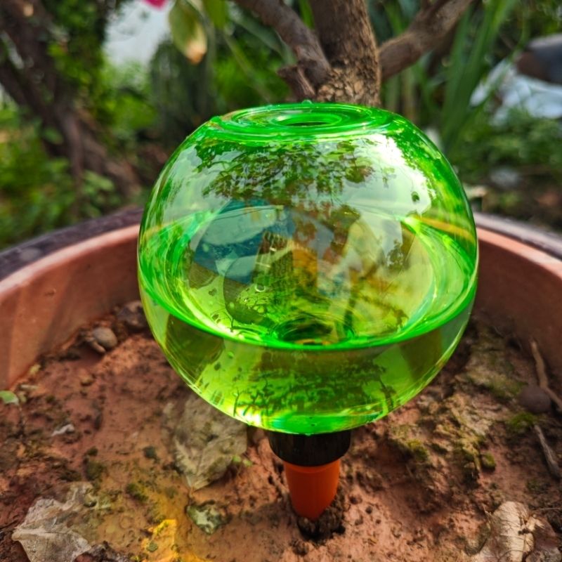3 stuks grote planten zelfwate - Self-Watering Planter recensie en prijs