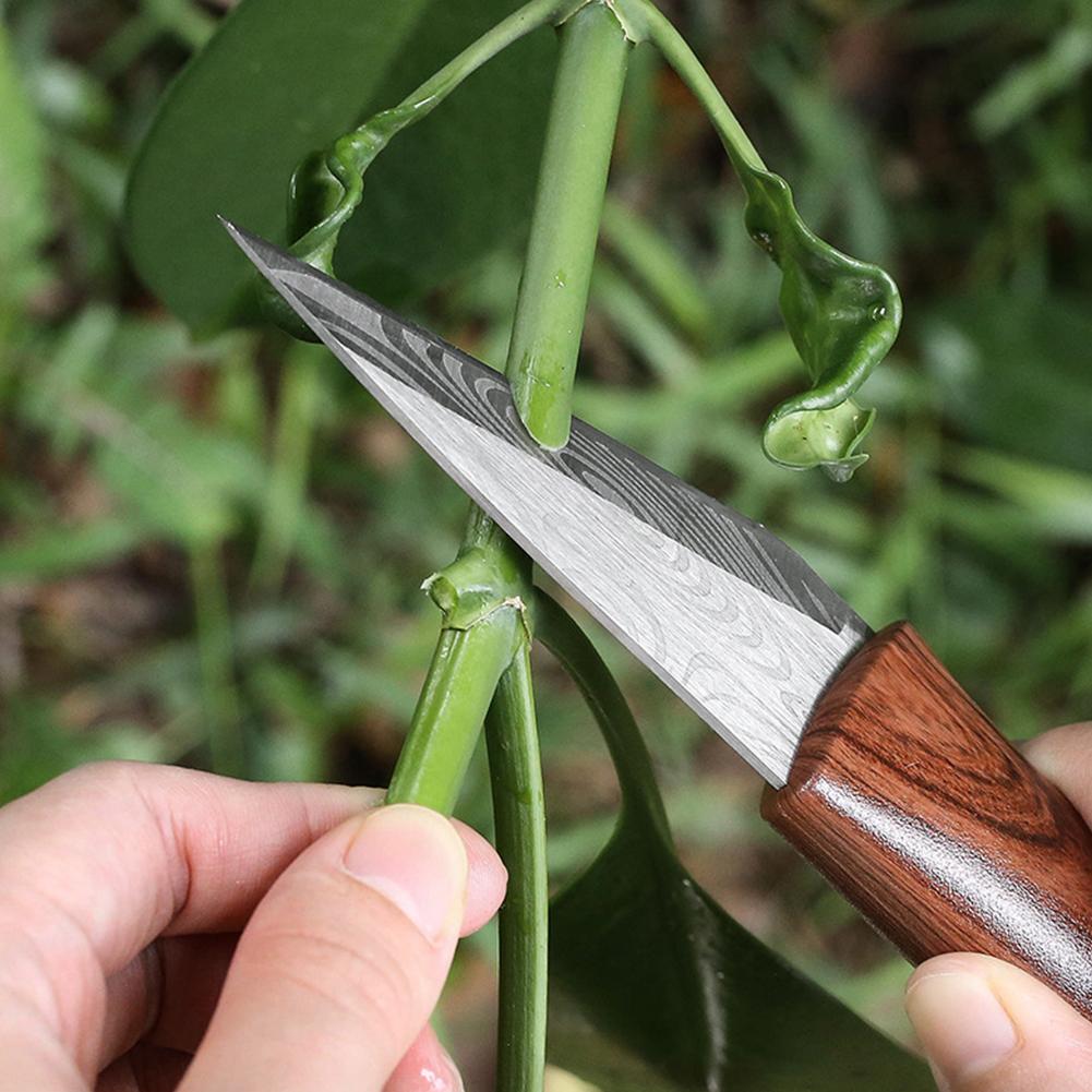 Scherp entmes met houten handv - Gardening Tools For Beginners recensie en prijs