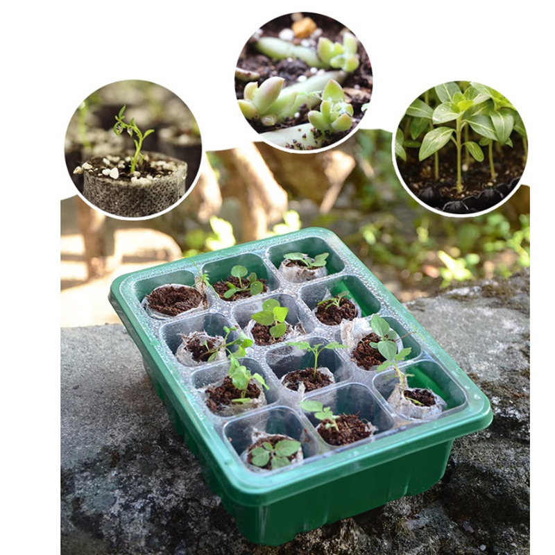 6/12 Gaten Zaad Starter Lade M - Propagation Tray Dome recensie en prijs